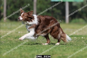 IMG_5534.jpg