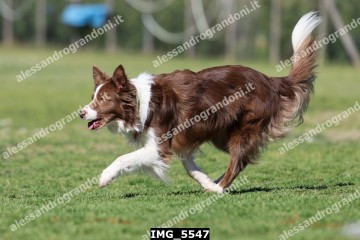 IMG_5547.jpg