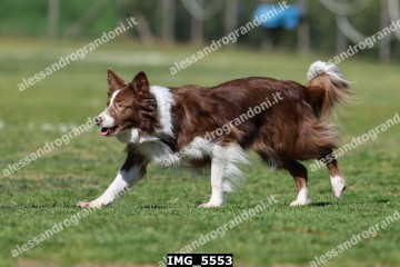IMG_5553.jpg