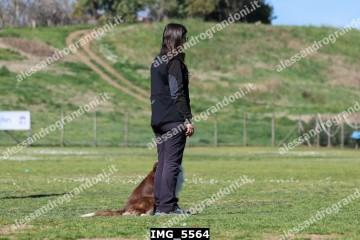 IMG_5564.jpg