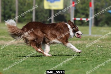 IMG_5575.jpg