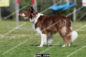 IMG_5590.jpg