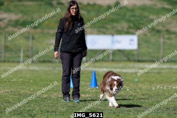 IMG_5621.jpg