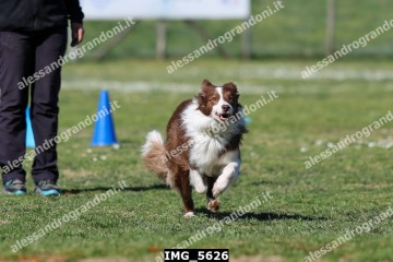 IMG_5626.jpg