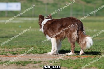 IMG_5648.jpg