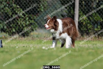 IMG_5660.jpg