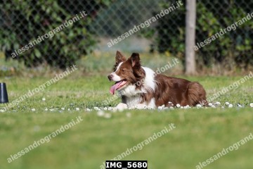 IMG_5680.jpg