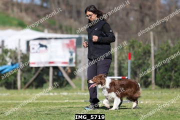 IMG_5719.jpg