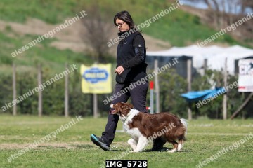 IMG_5728.jpg