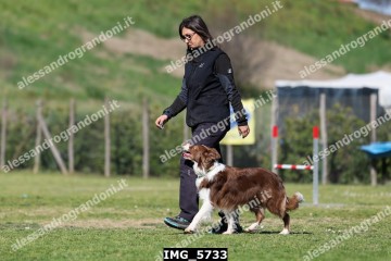 IMG_5733.jpg