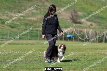 IMG_5773.jpg