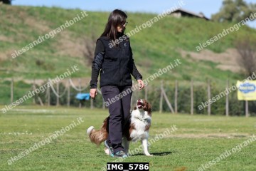 IMG_5786.jpg