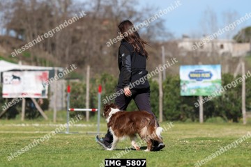 IMG_5807.jpg