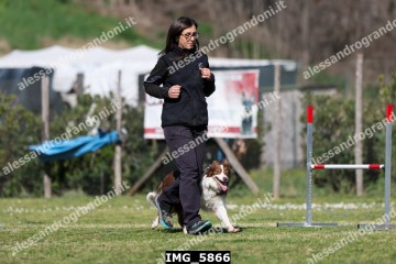 IMG_5866.jpg