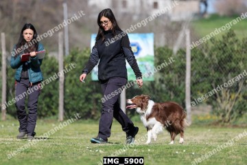 IMG_5900.jpg