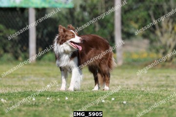 IMG_5905.jpg