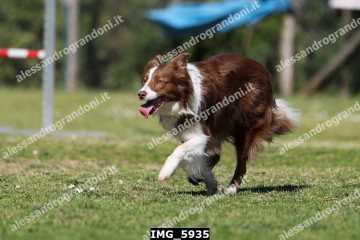 IMG_5935.jpg