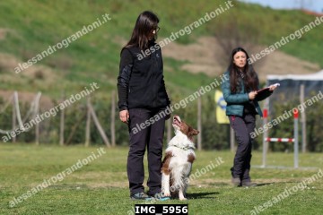 IMG_5956.jpg