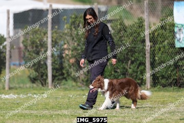 IMG_5975.jpg