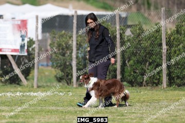 IMG_5983.jpg