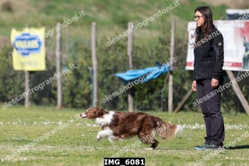 IMG_6081.jpg