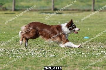 IMG_6118.jpg