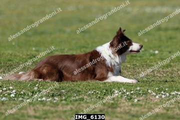 IMG_6130.jpg