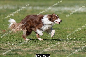 IMG_6141.jpg