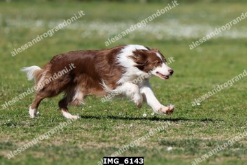 IMG_6143.jpg