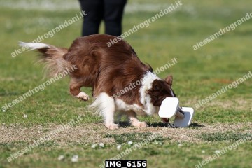 IMG_6156.jpg