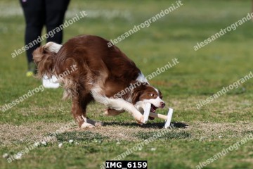 IMG_6159.jpg