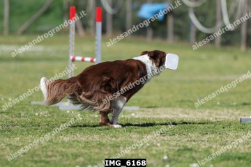 IMG_6168.jpg