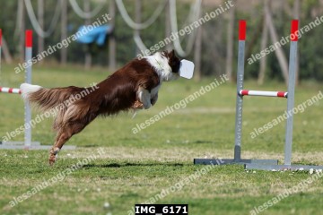 IMG_6171.jpg