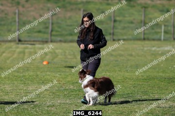 IMG_6244.jpg