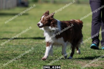 IMG_6286.jpg