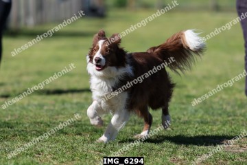 IMG_6294.jpg