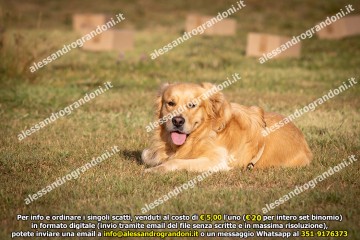 _21A1030.jpg