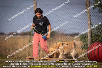 _21A1046.jpg