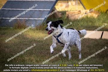 _21A1067.jpg