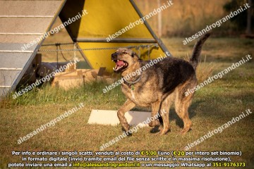 _21A1145.jpg
