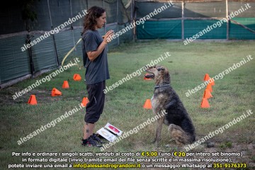 _21A1153.jpg