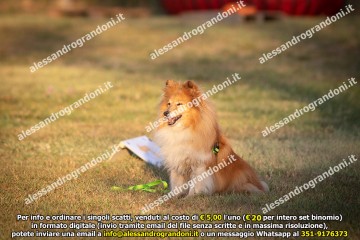 _21A1168.jpg