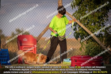 _21A1173.jpg