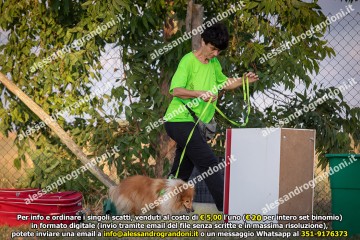 _21A1174.jpg