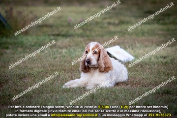 _21A1249.jpg