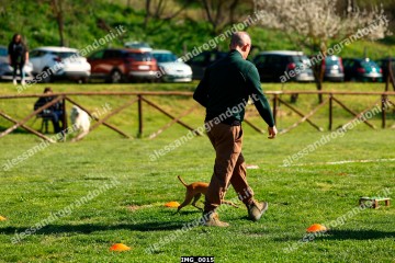 IMG_0015.jpg