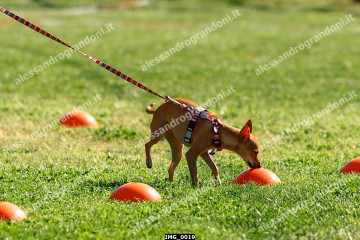 IMG_0019.jpg