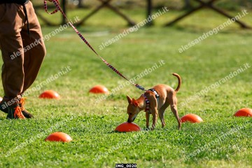 IMG_0020.jpg