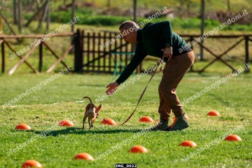 IMG_0022.jpg