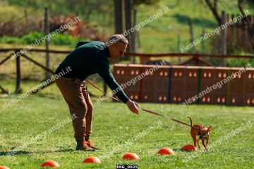 IMG_0025.jpg